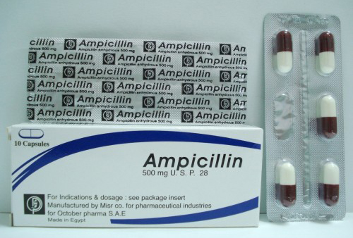 أمبيسيلين كبسولات مضاد حيوي واسع المجال Ampicillin Capsules