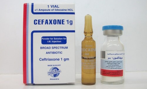سيفاكسون أمبولات حقن مضاد حيوى واسع المجال Cefaxone Ampules