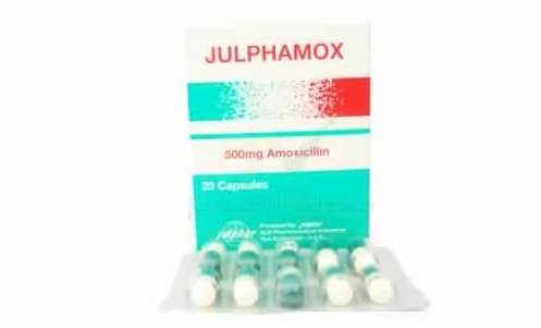 جالفاموكس مضاد حيوى لعلاج الألتهابات البكتيرية Julphamox